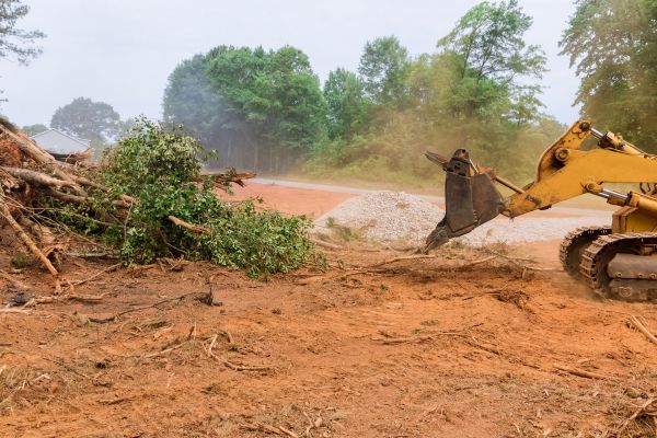 Ground Clearing in Simpsonville