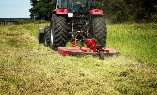 Brush Clearing Service in Simpsonville
