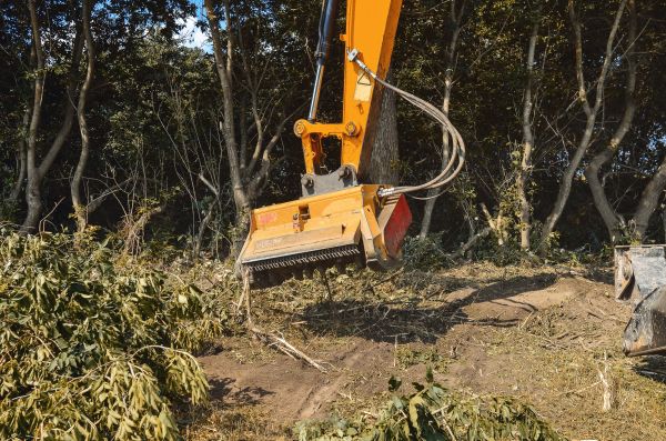 Brush Removal Service in Simpsonville