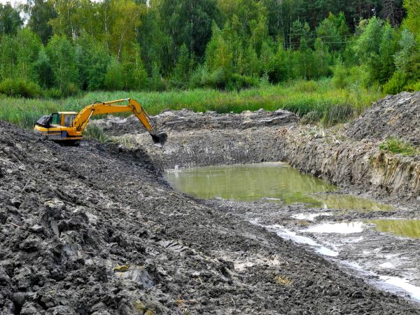Cost of Lake Lot Clearing in Simpsonville
