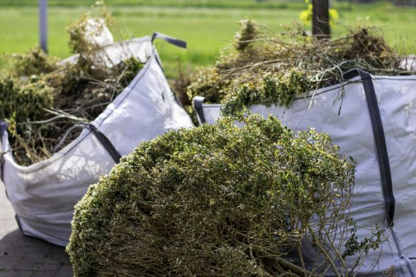 Cost of Bushes Clearing in Simpsonville