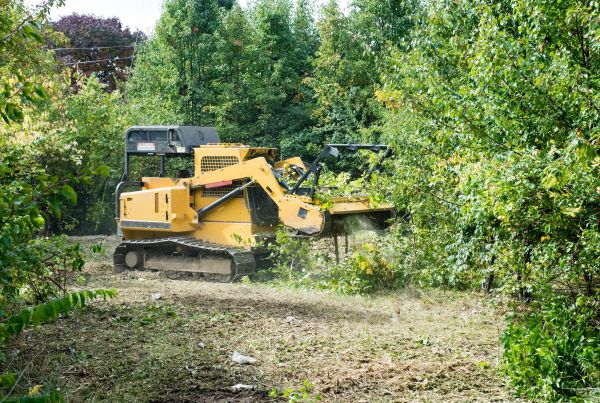 Cost of Pathway Clearing in Simpsonville
