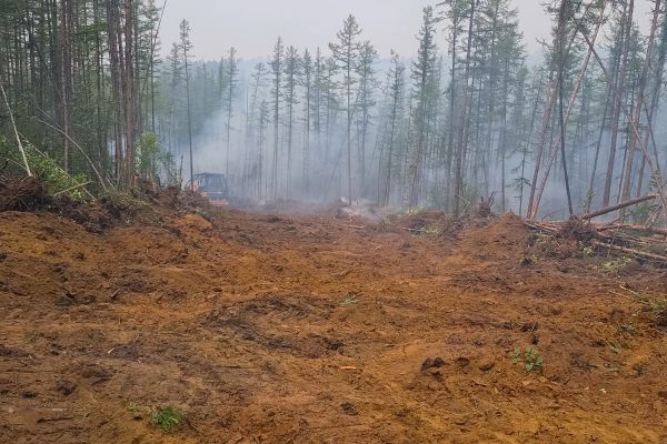 Cost of Hill Clearing in Simpsonville