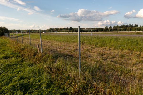 Cost of Property Line Clearing in Simpsonville