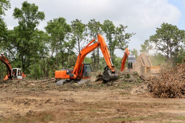 Cost of Commercial Lot Clearing in Simpsonville