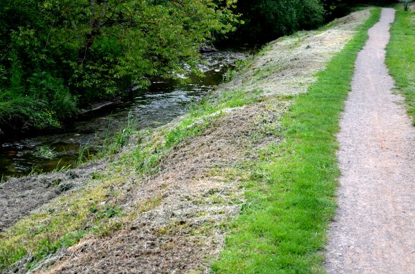 Cost of Trail Cutting in Simpsonville